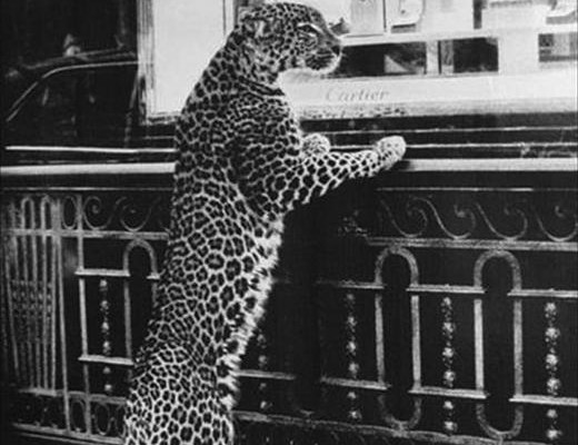 Cartier - campanie circa 1950